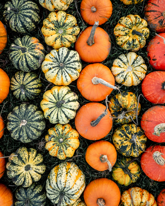 Falling for Kindness: How to Make October Your Kindest Month Yet