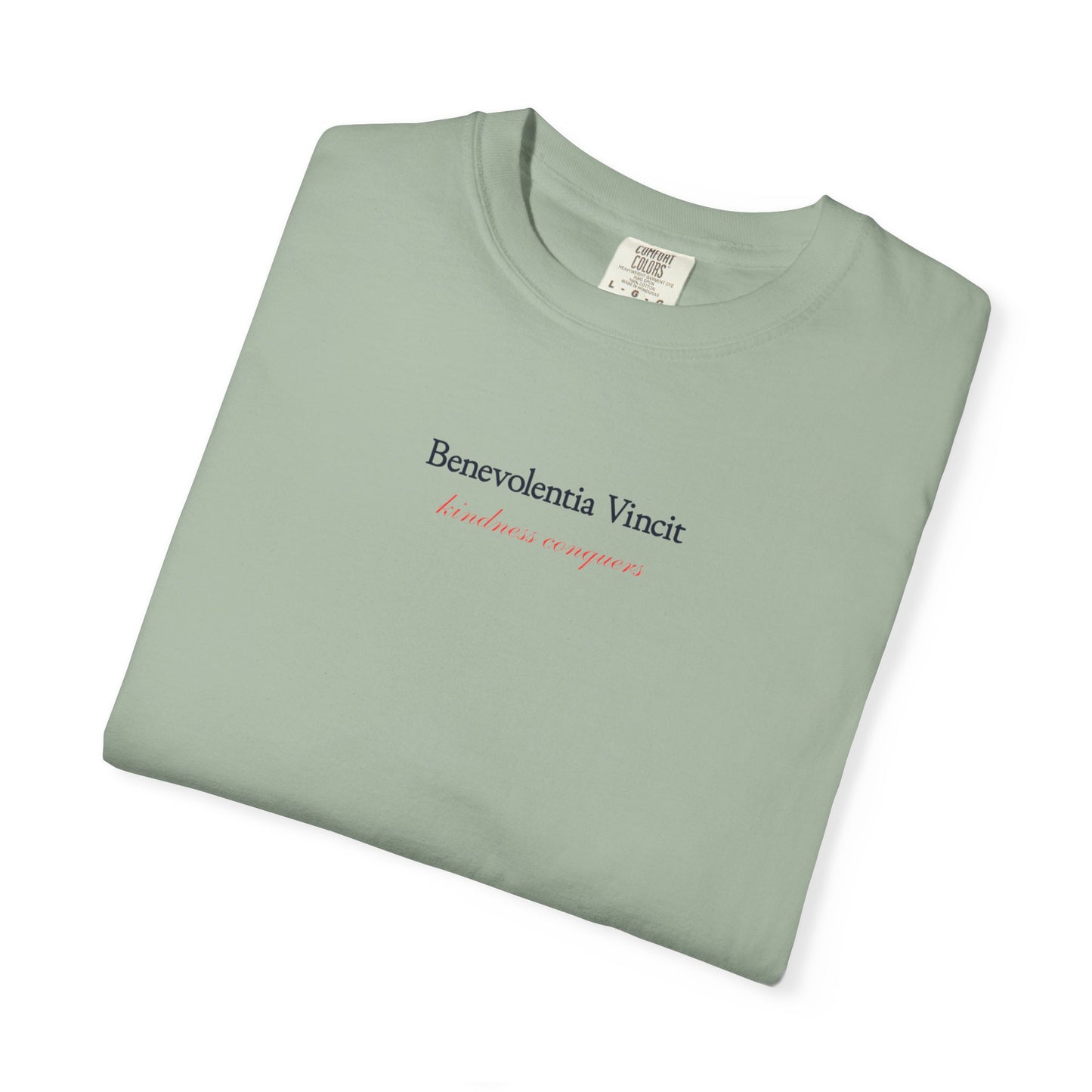 Kindness Conquers By: Favio Moreno Unisex T-Shirt (KSC Light)