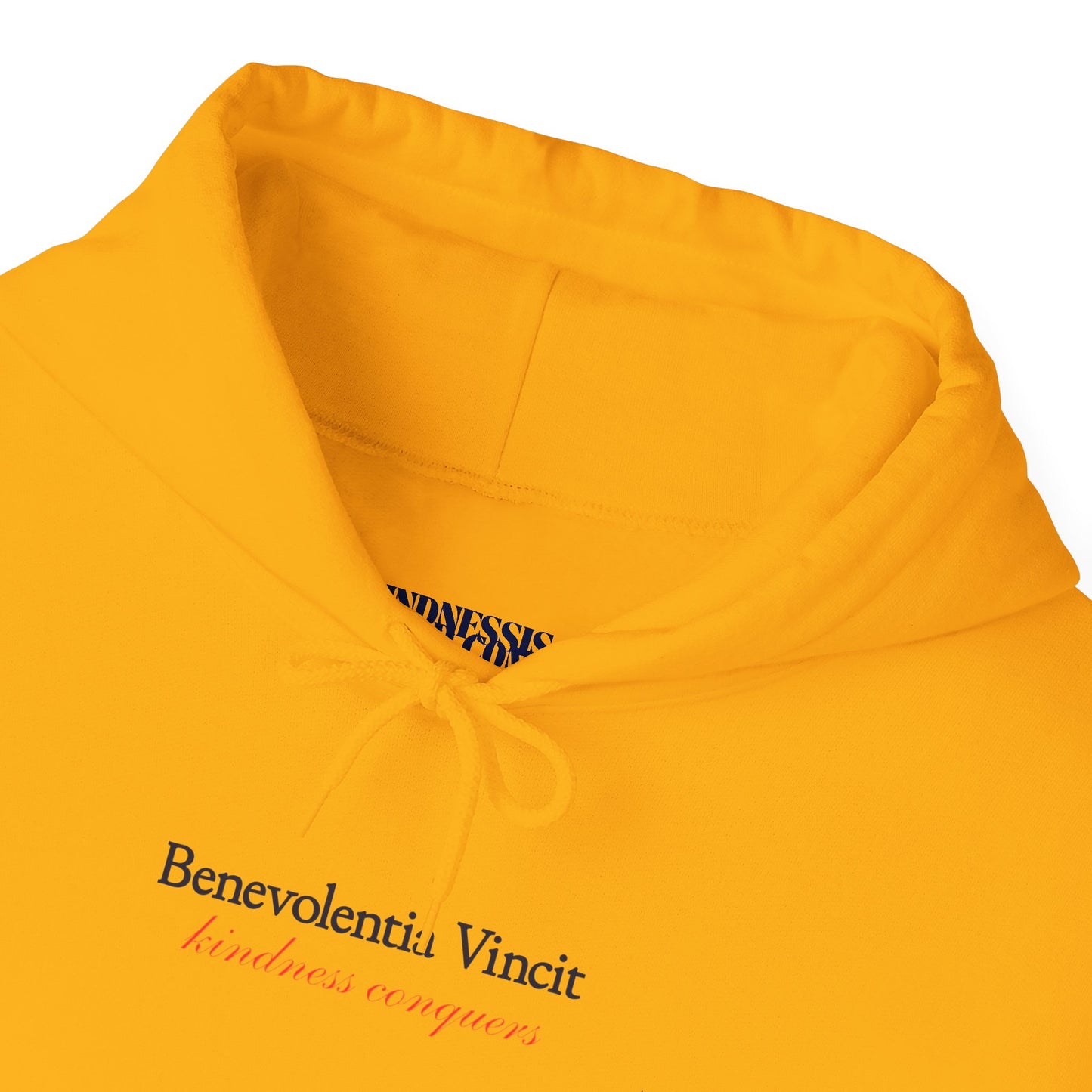 Kindness Conquers Unisex Adult Hoodie - By: Favio Moreno (KSC Light)