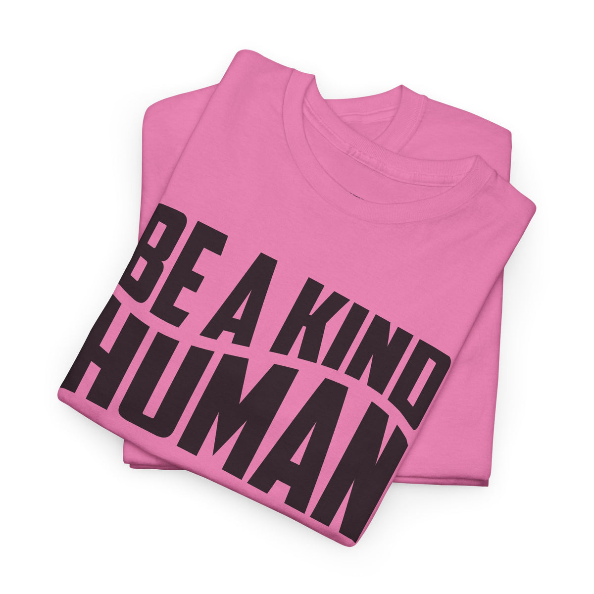 Be A Kind Human T-Shirt