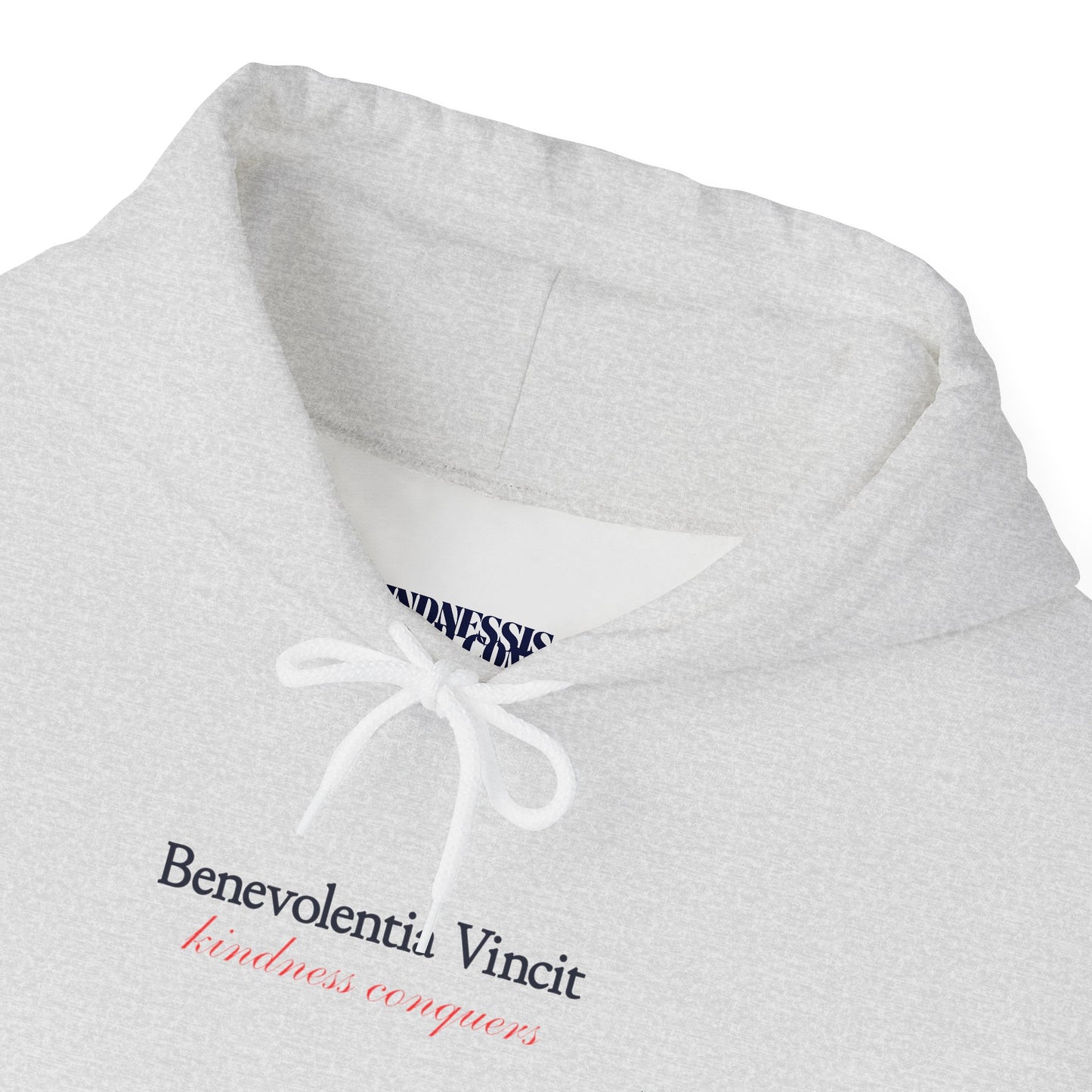Kindness Conquers Unisex Adult Hoodie - By: Favio Moreno (KSC Light)